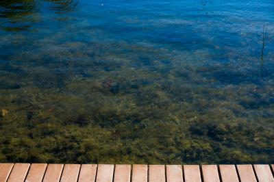 Прикрепленное изображение: DSC00989-1.jpg